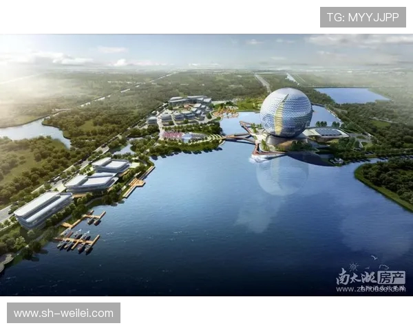 上海极限运动队的阵地战与城市运动文化的崛起探讨