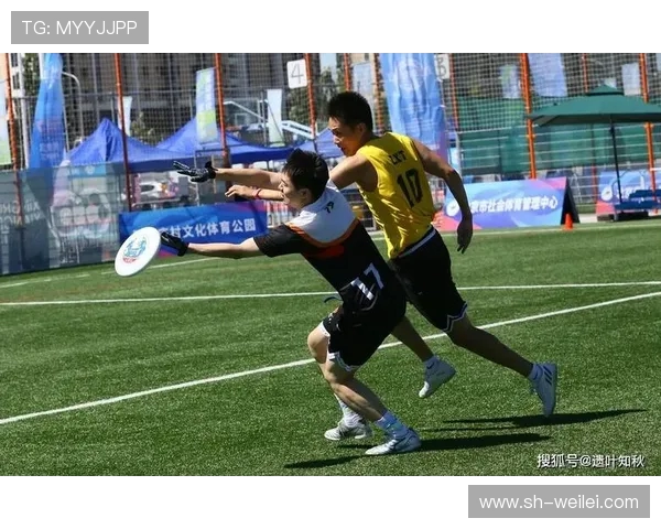 飞盘盛宴揭秘北京飞盘队实力与魅力的全景探索